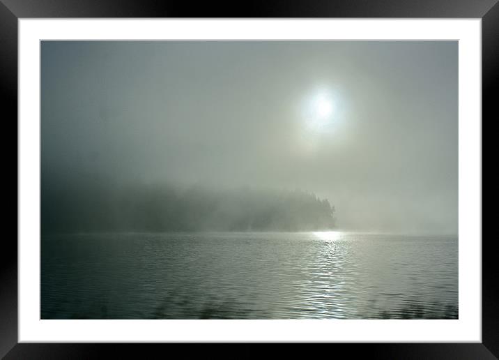 Misty Morning On the Umpqua River Framed Mounted Print by Irina Walker