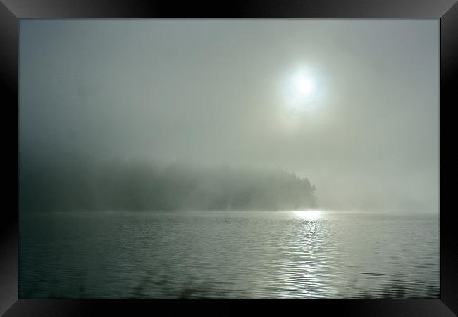 Misty Morning On the Umpqua River Framed Print by Irina Walker