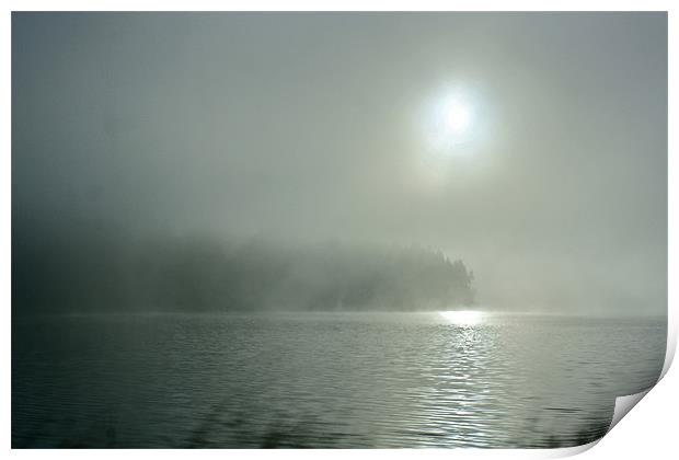 Misty Morning On the Umpqua River Print by Irina Walker