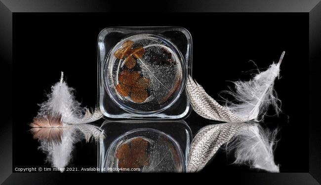  Feathers Reflected on glass Framed Print by tim miller