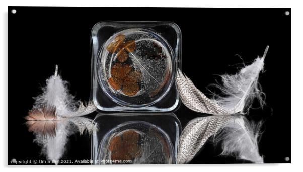  Feathers Reflected on glass Acrylic by tim miller