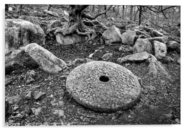 Millstone in Padley Gorge (Mono) Acrylic by Chris Drabble