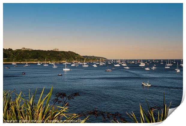 Falmouth Cornwall Castle Beach Print by kathy white