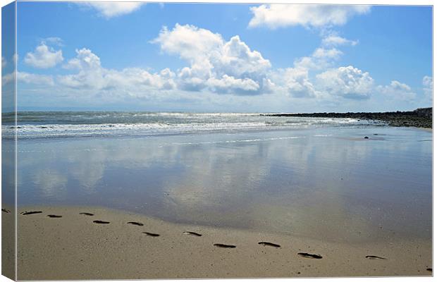 Footprints in the Sand Canvas Print by Donna Collett
