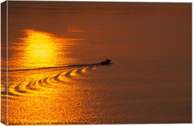 Liquid Gold Sunrise Canvas Print by Nic Croad