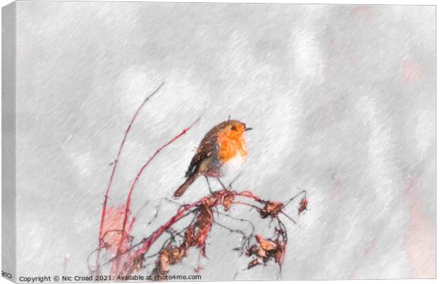 Digital Sketch of a Robin Canvas Print by Nic Croad