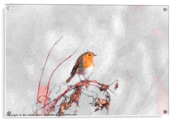 Digital Sketch of a Robin Acrylic by Nic Croad