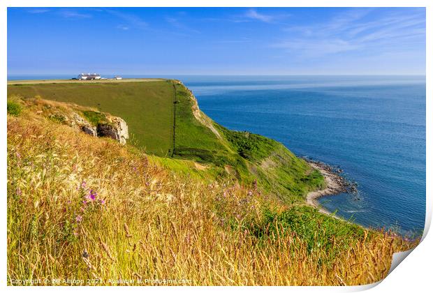 St. Adhelm's head Print by Bill Allsopp