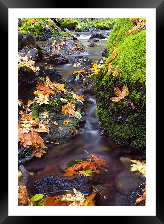 Clearly Autumn  Framed Mounted Print by Mike Dawson