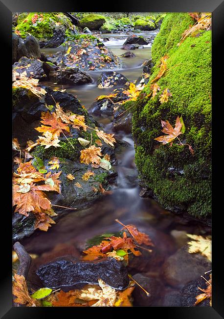 Clearly Autumn  Framed Print by Mike Dawson