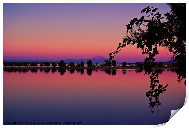 Vivid Sunset with Silhouetted trees and reflection Print by Nic Croad