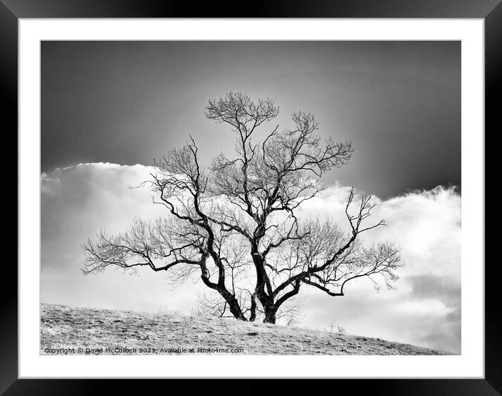 Reaching above the cloud Framed Mounted Print by David McCulloch