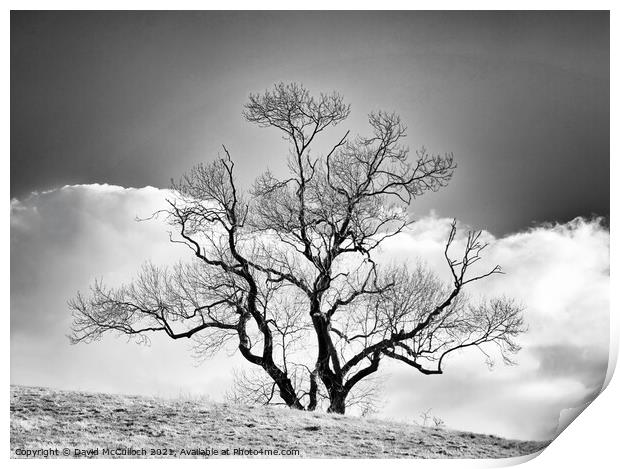 Reaching above the cloud Print by David McCulloch