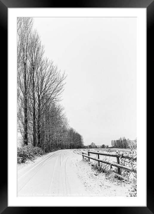 Row Of Tall Trees In The Snowy Rural Landscape Aro Framed Mounted Print by Peter Greenway