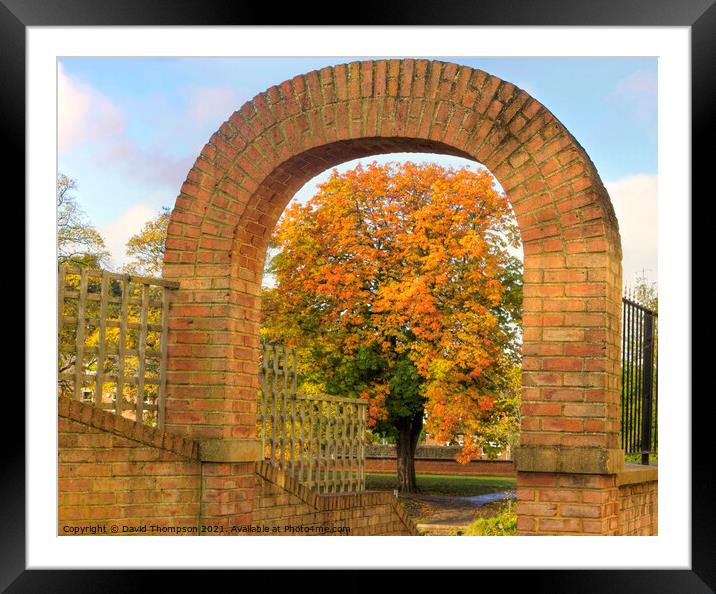 Morpeth Horse Chestnut Tree Framed Mounted Print by David Thompson