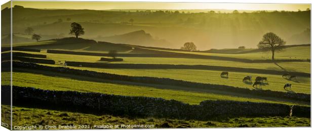 Dry stone walled fields near Wetton in evening lig Canvas Print by Chris Drabble
