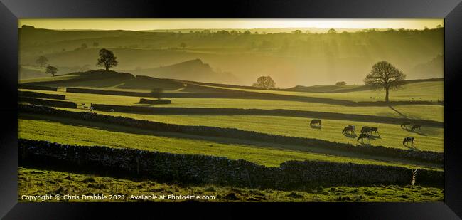 Dry stone walled fields near Wetton in evening lig Framed Print by Chris Drabble
