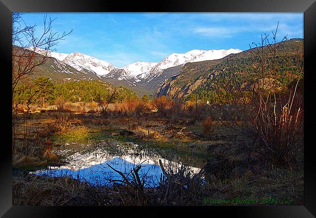 Sponsored by Mother Nature Framed Print by Sharon Pfeiffer