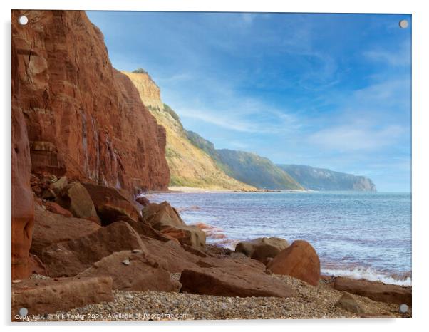 Sidemouth cliffs Acrylic by Nik Taylor