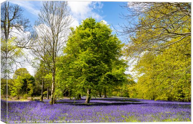 Enchanting Cornwall Bluebell Forest Canvas Print by kathy white