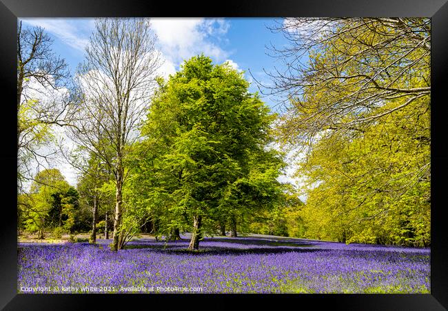 Enchanting Cornwall Bluebell Forest Framed Print by kathy white