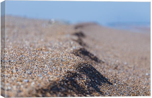 Shingle on the beach at Cley next the Sea Canvas Print by Jason Wells