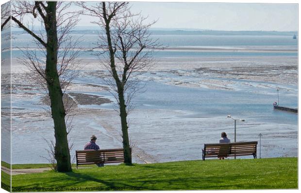 View overlooking the estuary from the cliff gardens, Southend on Sea, Essex, UK. Canvas Print by Peter Bolton