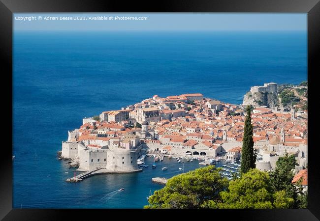Dubrovnik Croation Walled City Framed Print by Adrian Beese