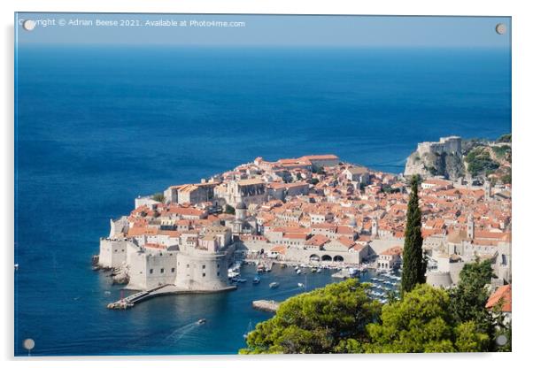Dubrovnik Croation Walled City Acrylic by Adrian Beese