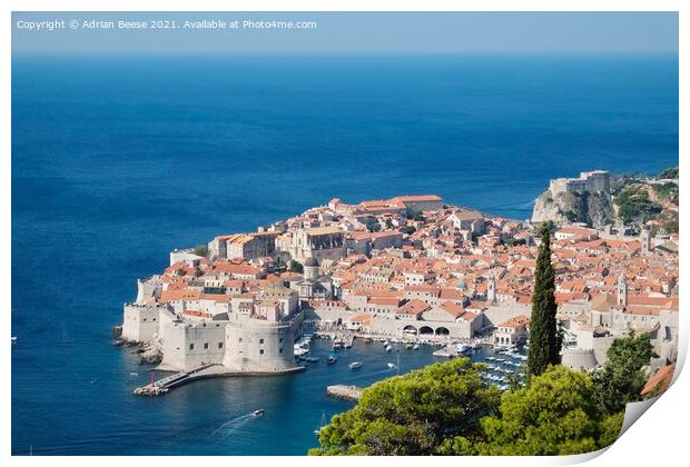 Dubrovnik Croation Walled City Print by Adrian Beese