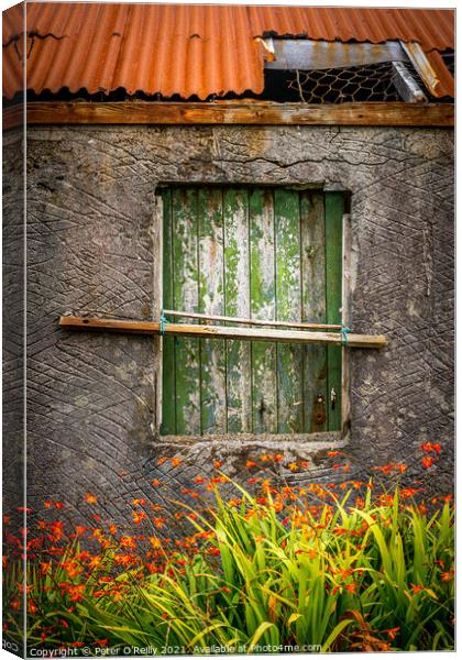Window Canvas Print by Peter O'Reilly