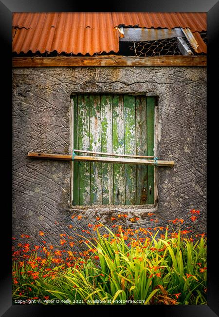 Window Framed Print by Peter O'Reilly