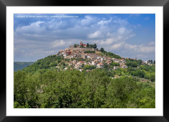 Motovun hilltop village Croatia Framed Mounted Print by Adrian Beese