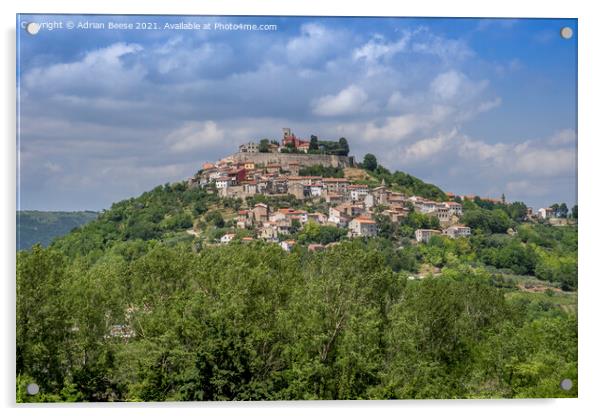 Motovun hilltop village Croatia Acrylic by Adrian Beese