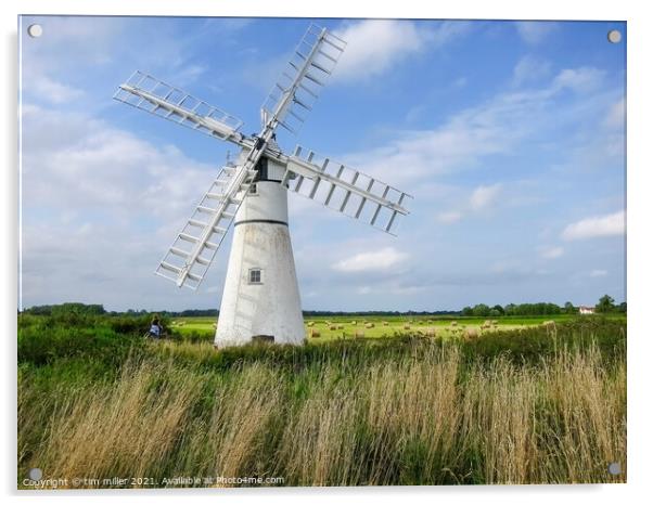Thurne Windmill Acrylic by tim miller