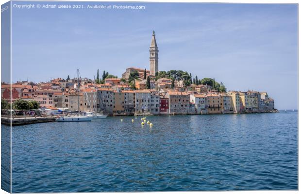 Rovinj Croatia outer harbour with church on the hill Canvas Print by Adrian Beese