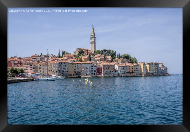 Rovinj Croatia outer harbour with church on the hill Framed Print by Adrian Beese