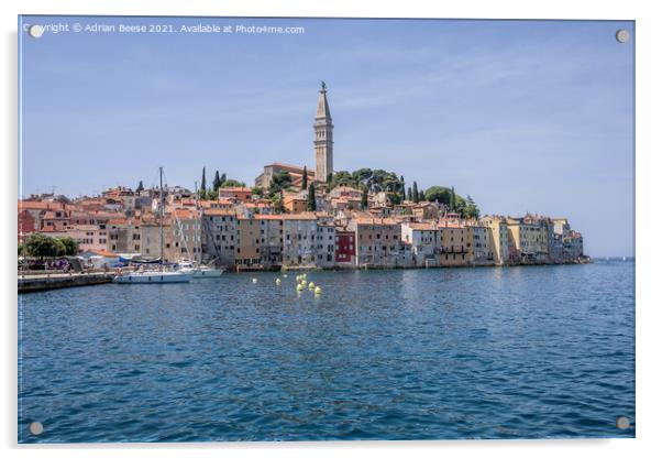 Rovinj Croatia outer harbour with church on the hill Acrylic by Adrian Beese