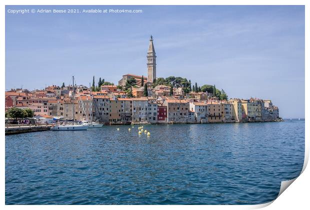 Rovinj Croatia outer harbour with church on the hill Print by Adrian Beese