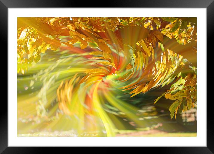 Abstract art a tree with aunt leaves with a twirl in the back ground  Framed Mounted Print by Holly Burgess