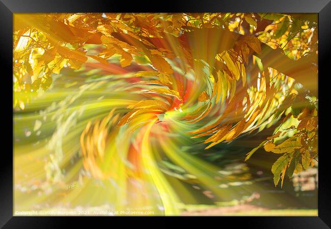 Abstract art a tree with aunt leaves with a twirl in the back ground  Framed Print by Holly Burgess