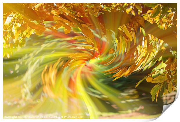 Abstract art a tree with aunt leaves with a twirl in the back ground  Print by Holly Burgess