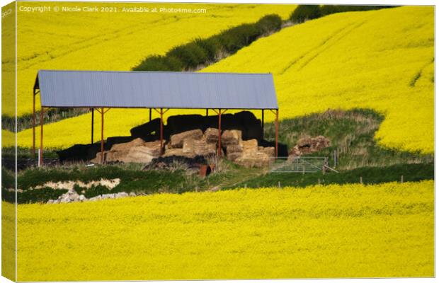 Barn In The Yellow Fields Canvas Print by Nicola Clark