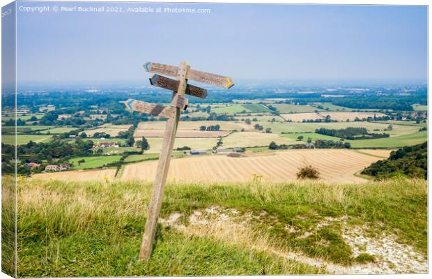 South Downs Path View West Sussex Canvas Print by Pearl Bucknall
