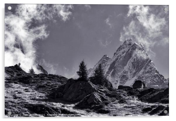 The Aiguille de Blaitière Acrylic by Colin Woods