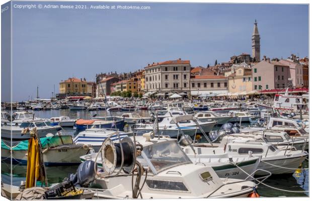 Rovinj Croatia inner harbour with colourful buildings and church Canvas Print by Adrian Beese