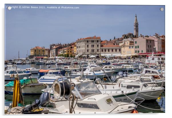 Rovinj Croatia inner harbour with colourful buildings and church Acrylic by Adrian Beese