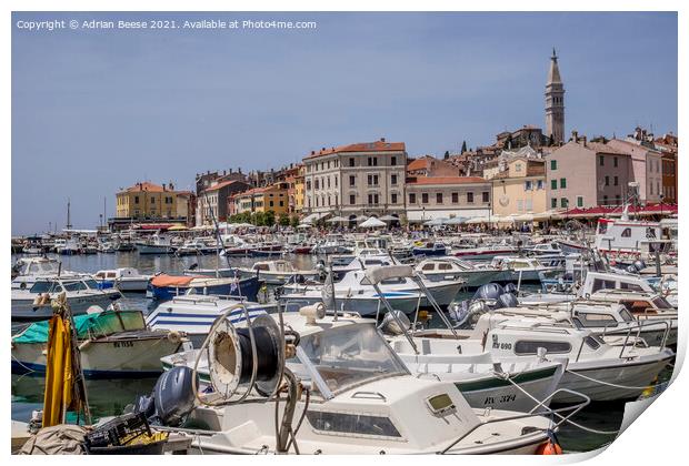 Rovinj Croatia inner harbour with colourful buildings and church Print by Adrian Beese