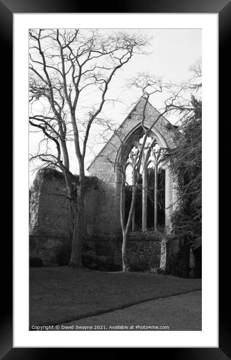 Walsingham Abbey Ruins Framed Mounted Print by David Swayne