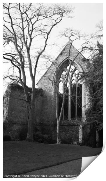 Walsingham Abbey Ruins Print by David Swayne